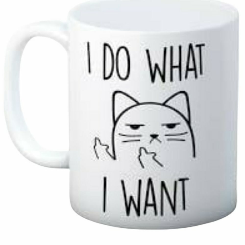 Coffee Mug, I do what I want, cat,